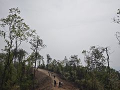 -青龙山国家森林公园