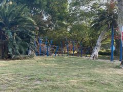 -南宁花花大世界景区