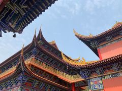 -东莞市大岭山森林公园