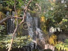 -Chom Cafe and Restaurant