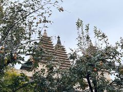 -北京石刻艺术博物馆(五塔寺)