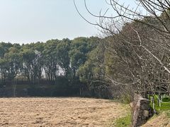 -良渚古城遗址公园