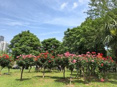 -汉水公园