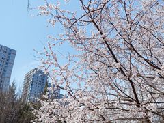 -太阳宫公园