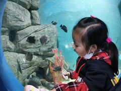 -苏州海洋馆
