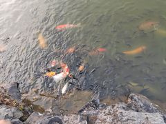 -珠海圆明新园