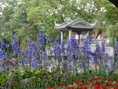 -荔湾湖公园