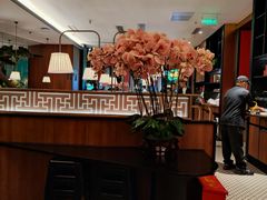 -新白鹿餐厅(松江开元地中海店)