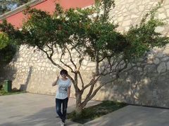 -大雁塔北广场音乐喷泉