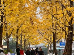 -高庙村(地铁站)