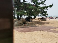 -老虎石海上公园