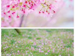 -福建鲤鱼洲酒店