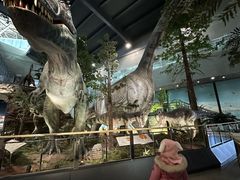 -湖南省地质博物馆