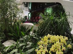 -广州白云国际机场-T2航站楼