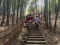 景点-宁波浙东大竹海景区