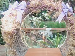 -正佳雨林生态植物园
