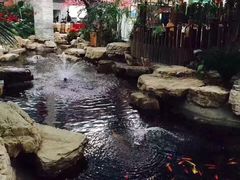-森谷美食公园(杨行店)