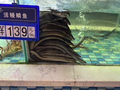 -蓝海大饭店·渔歌舫(黄岛店)