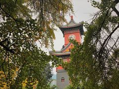 -四川大学(华西校区)