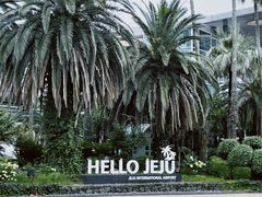 -城山辣炒黑猪肉