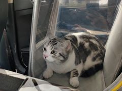 -猫宠乐园·专业洗护