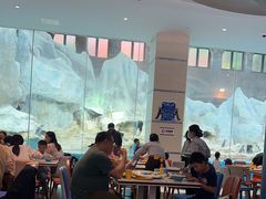 -帝企鹅自助餐厅•儿童岛•真企鹅(长隆企鹅酒店)