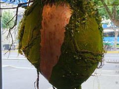 -精绝七日-新疆尼雅遗址数字大展【拉法耶文化艺术中心】