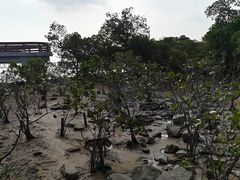 -宝安西湾红树林湿地公园