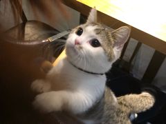 -IFIF 如果花園(宽厚里店)