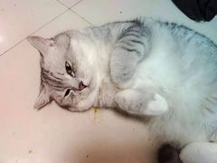 -小鱼小牛(世欧广场店)