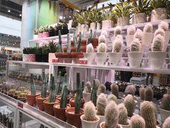 -KKV(深圳宏发大仟里店)