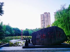 -陈家山荷花公园