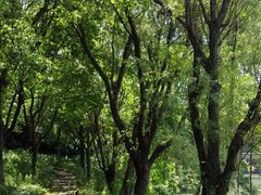 -梁鸿国家湿地公园