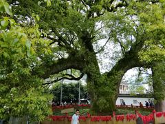 -新安江山水画廊风景区