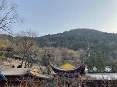 -秦始皇帝陵博物院-丽山园