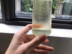 起泡酒-Ginger(兴国路店)