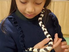-藦茜花园宠物主题亲子互动体验馆(国顺东路店)