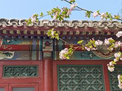 -元大都城垣遗址公园