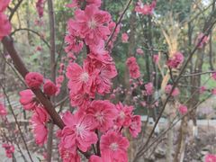 -杭州半山国家森林公园