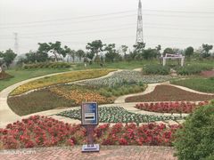 -紫颐香薰山谷景区