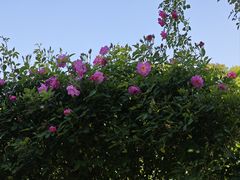 -上海交通大学(闵行校区)