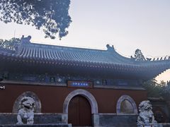 -大觉寺-停车场