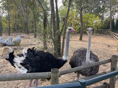 -大连森林动物园