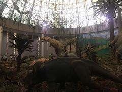 -中国西峡恐龙遗迹园
