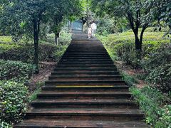 -天目湖山水园