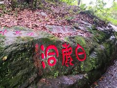 -白鹿洞书院