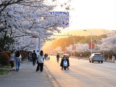 -江南大学(蠡湖校区)