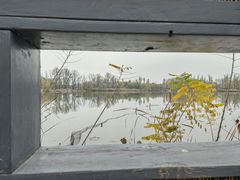 -翠湖国家城市湿地公园