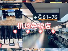 -维也纳国际机场