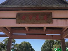 -上海都市菜园